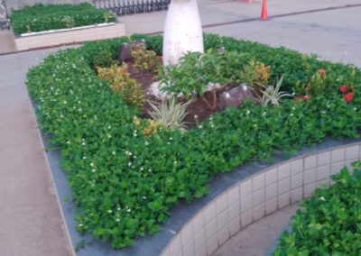 WhatsApp Image 2026-04-16 at 11.46.40 (10)