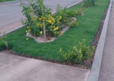 WhatsApp Image 2026-04-16 at 11.46.40 (11)