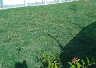 WhatsApp Image 2026-04-16 at 11.46.40 (15)