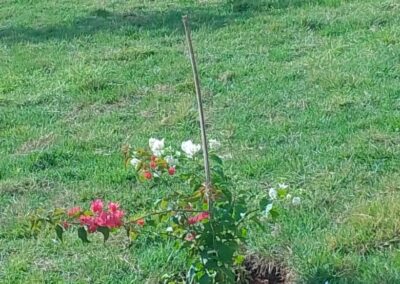 WhatsApp Image 2026-04-16 at 11.46.40 (16)