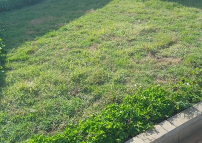 WhatsApp Image 2026-04-16 at 11.46.40 (17)