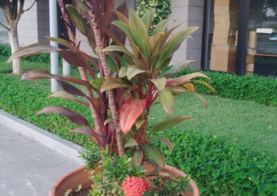 WhatsApp Image 2026-04-16 at 11.46.40 (3)