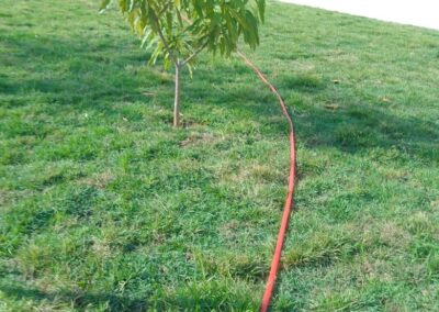 WhatsApp Image 2026-04-16 at 11.46.40 (5)