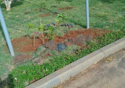 WhatsApp Image 2026-04-16 at 11.46.40 (6)