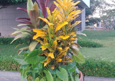 WhatsApp Image 2026-04-16 at 11.46.40 (9)